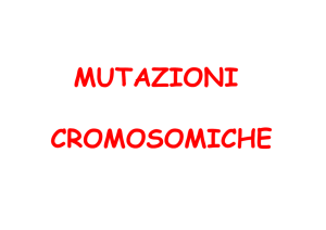 Mutaz_Cromosomiche-131209 [modalità compatibilità]