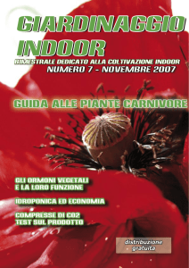 numero 7 - Giardinaggio Indoor