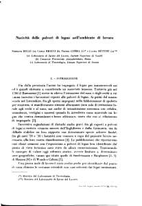 Nocività delle polveri di legno nell`ambiente di lavoro