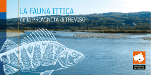 la fauna ittica - Pesca Treviso
