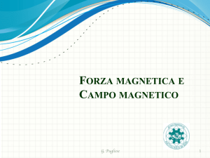 forza magnetica e campo magnetico