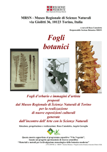 Fogli botanici - Museo Regionale di Scienze Naturali