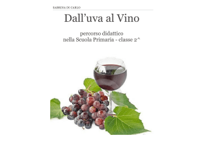 Dall`uva al Vino - myscuolaprimaria