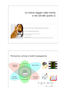 Un breve viaggio nella mente e nel cervello (parte 2)