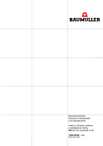 Istruzioni tecniche Istruzioni di avviamento e di manutenzione motori