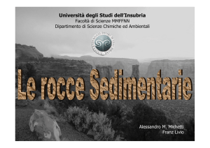 Geologia e Litologia 14 rocce sedimentarie