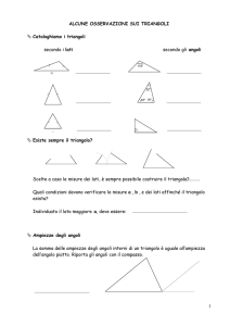 OSSERVAZIONI SUI TRIANGOLI