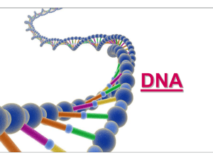 1 - DNA