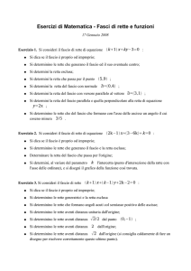 Esercizi di Matematica - Fasci di rette e funzioni