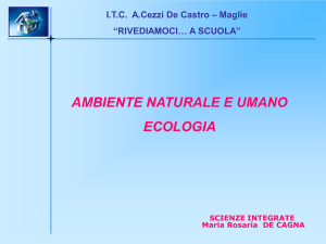 Diapositiva 1 - IISS Cezzi de Castro Moro