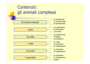gli animali complessi