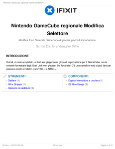 Nintendo GameCube regionale Modifica Selettore