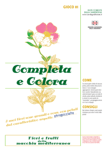 Completa e Colora