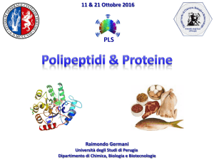 peptidi e proteine - Università degli Studi di Perugia