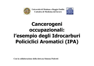 Cancerogeni occupazionali: L`esempio degli Idrocarburi Policiclici