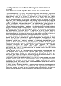 Milano 27.11.04 abstract