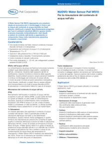 WS10 Series Water Sensor (Italian) IMWS10IT