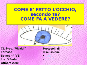 COME E` FATTO L`OCCHIO, secondo te? COME FA