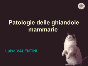 Patologia delle ghiandole mammarie