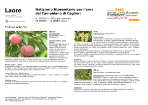 Notiziario fitosanitario per l`area del Campidano di Cagliari
