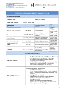 BREVE CURRICULUM VITAE DOTT. ANDREA BRICOLO Bricolo