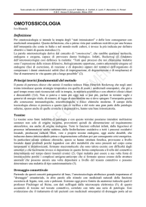 pdf (it, 538 KB, 26/05/08) - Università degli Studi di Verona