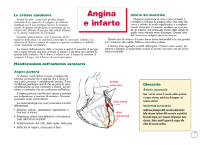 Angina e infarto - Medici Insieme Vicenza Medicina di Gruppo