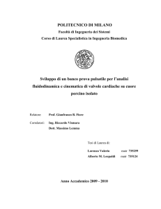 POLITECNICO DI MILANO Sviluppo di un banco prova pulsatile per