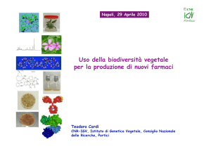 Uso della biodiversità vegetale per la produzione di nuovi