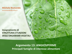 Angiosperme Famiglie (1) File - Progetto e