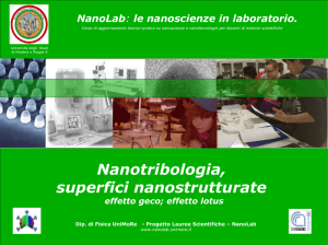 Nanotribologia, superfici nanostrutturate - nanolab