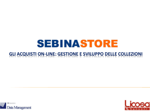 Presentazione SebinaSTORE