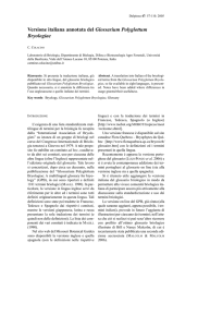 Versione italiana annotata del Glossarium Polyglottum Bryologiae