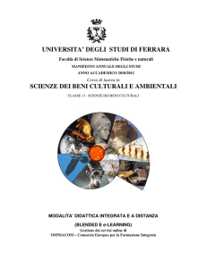 UNIVERSITA` DEGLI STUDI DI FERRARA SCIENZE DEI BENI