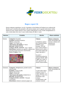 Rapex report 26 - federgiocattoli