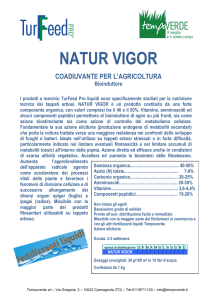 TF Natur Vigor (2016)