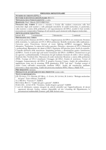 8--Programmi Guida 2014-15 (F.Peluso, 3 programmi)
