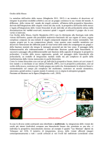 voce occhio della mosca del 11