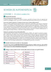 SOLUZIONI autoverifiche V.3