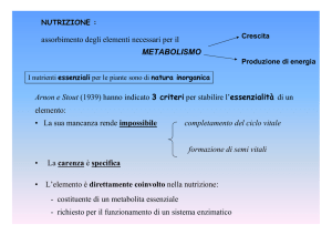 elementi essenziali per le piante superiori