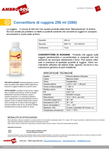 Convertitore di ruggine 250 ml (I260) - Ambro-Sol