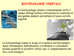 Diapositiva 1 - Dipartimento di Biotecnologie