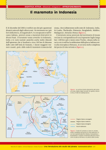 Il maremoto in Indonesia - Italo Bovolenta Editore