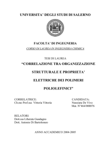 correlazione tra organizzazione strutturale e proprieta` elettriche dei