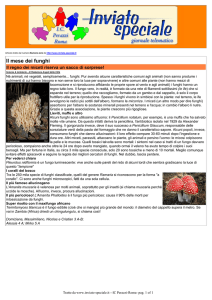 Articolo Il mese dei funghi tratto da inviato