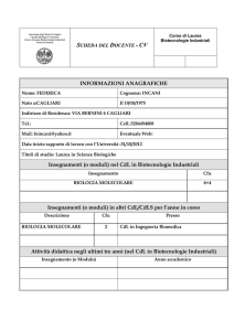 CV - Consorzio UNO