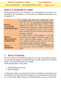 ROCCE sedimentarie