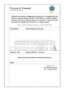 VpeCtrl35 - VPE Preview - Provincia di Vibo Valentia