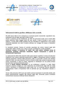 Coccinelle - Comune di Guastalla
