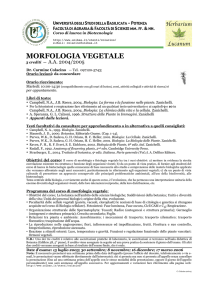 morfologia vegetale - Università degli Studi della Basilicata
